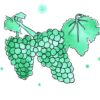 Vinha – sabonete de vinho e folha de videira . 100g - Image 4